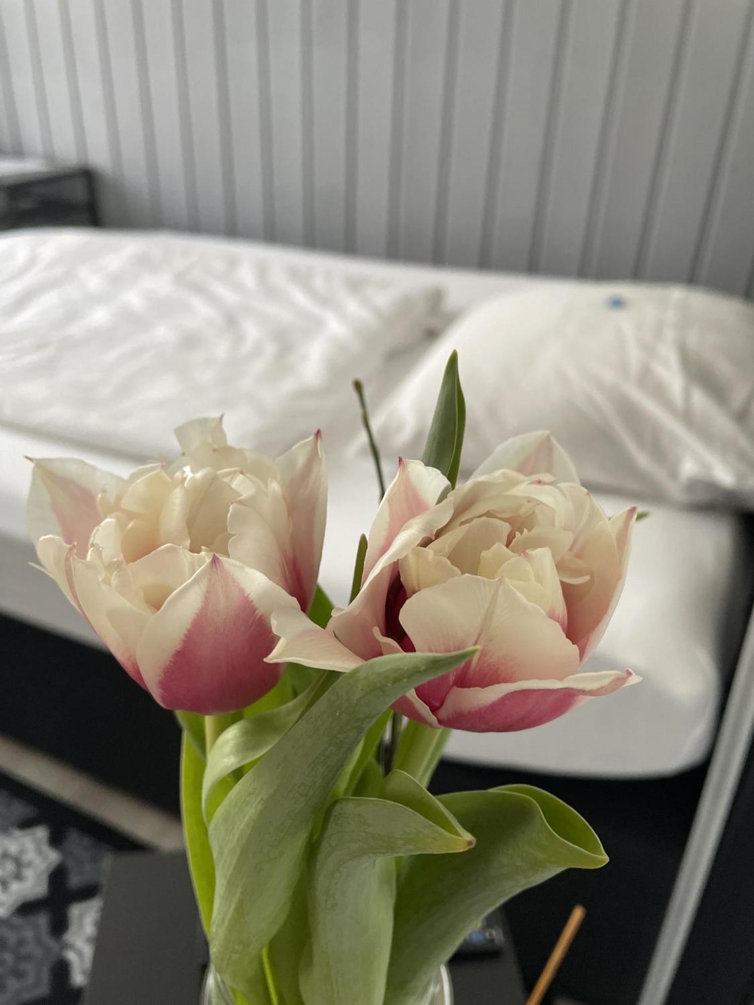 Hotel Jaegerhof Kettwig Essen Chambre photo